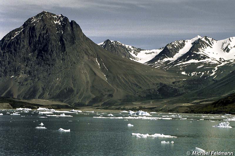 Qoroq-Fjord