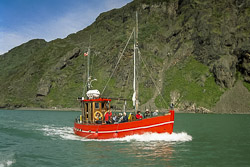 Narsarsuaq Ausflugsboot