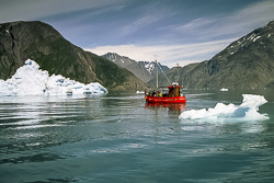 Qoroq-Gletscher Eisberge