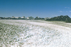 Qoroq-Gletscher