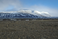 Kaldidalur