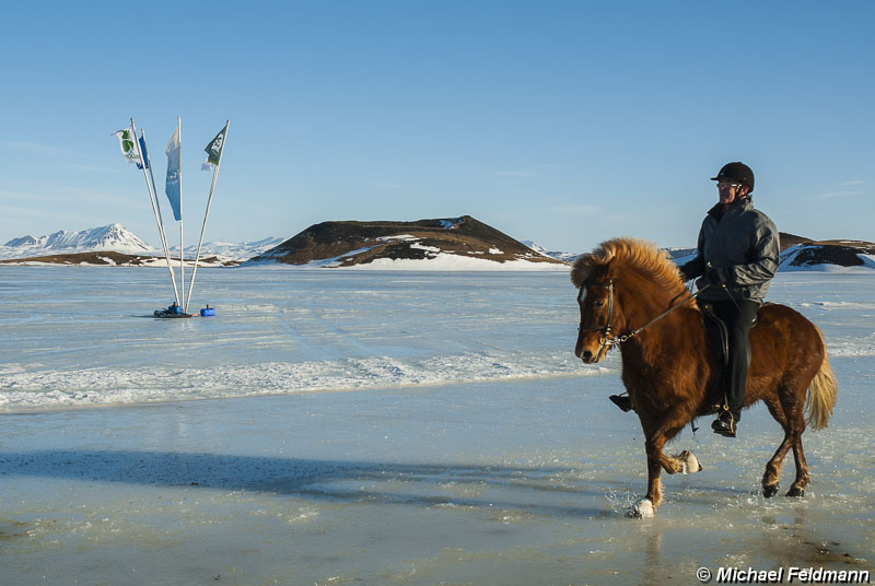 Islandpferde-Wettbewerb auf dem Myvatn