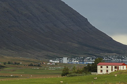 Neskaupstaður