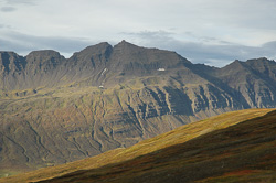 Norðfjörður