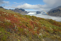 Aussichtspunkt Sjónarnípa in Skaftafell