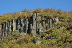Svartifoss Basaltsäulen